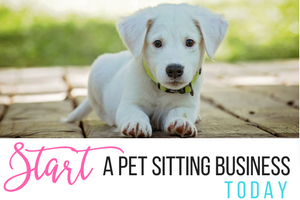 START a Pet Sitting Business Today